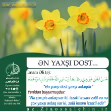 Ən yaxşı dost